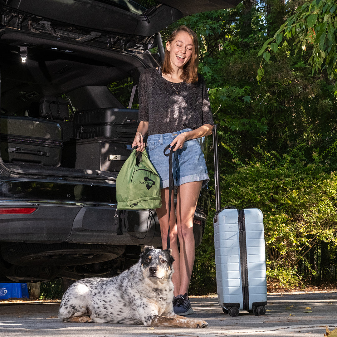 5 Things You Need When Traveling with Your Dog