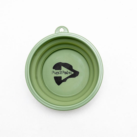 green silicone collapsible dog bowl