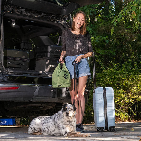 Green travel dog bag with mom packing the car for travel