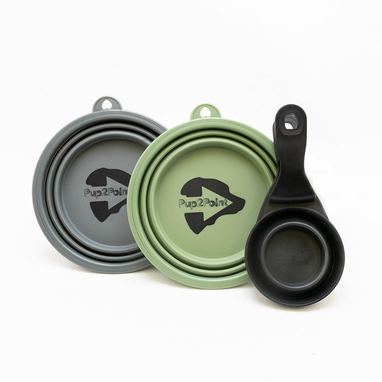 Travel Collapsible Bowls and Scoop Set